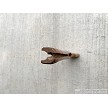 Albainan SKS Wood Rifle Stock 7.62x39 